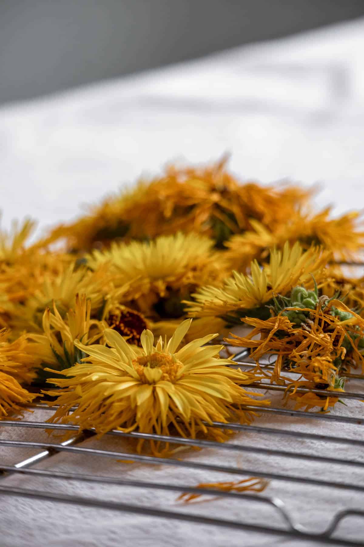 Dried calendula flowers on a table
