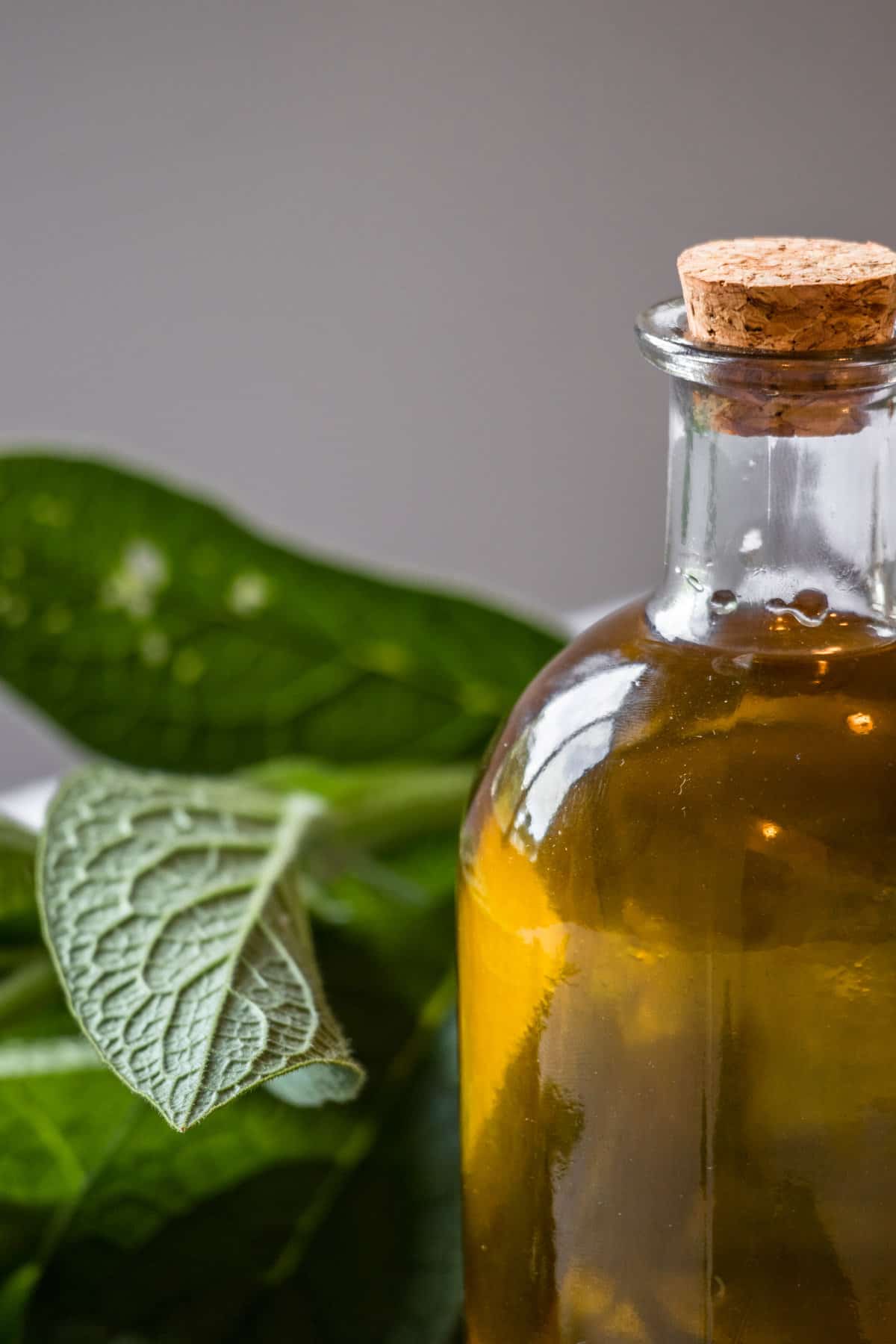 A bottle of homemade infused comfrey oil next to comfrey leaves