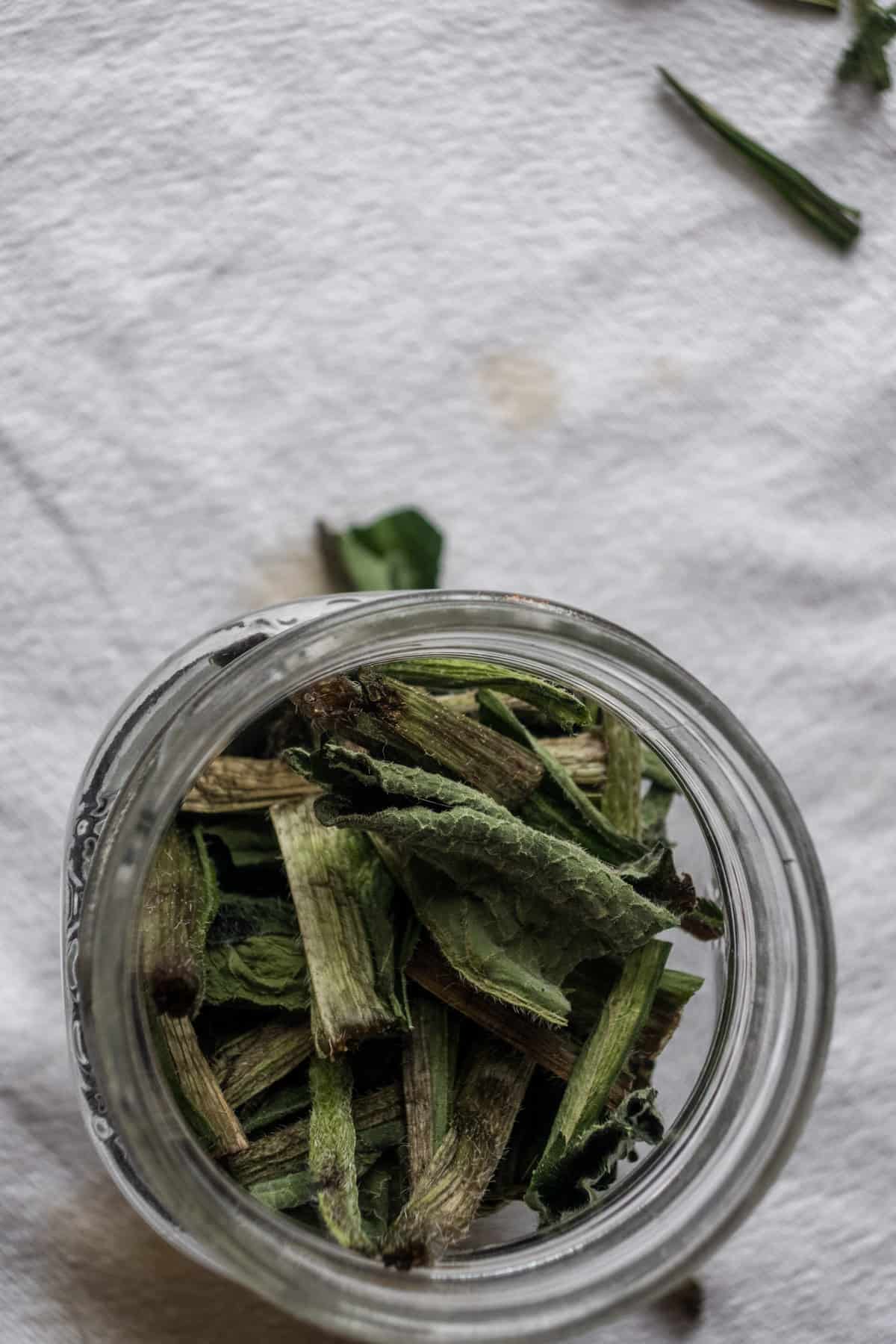 Dried comfrey leaves in a jar