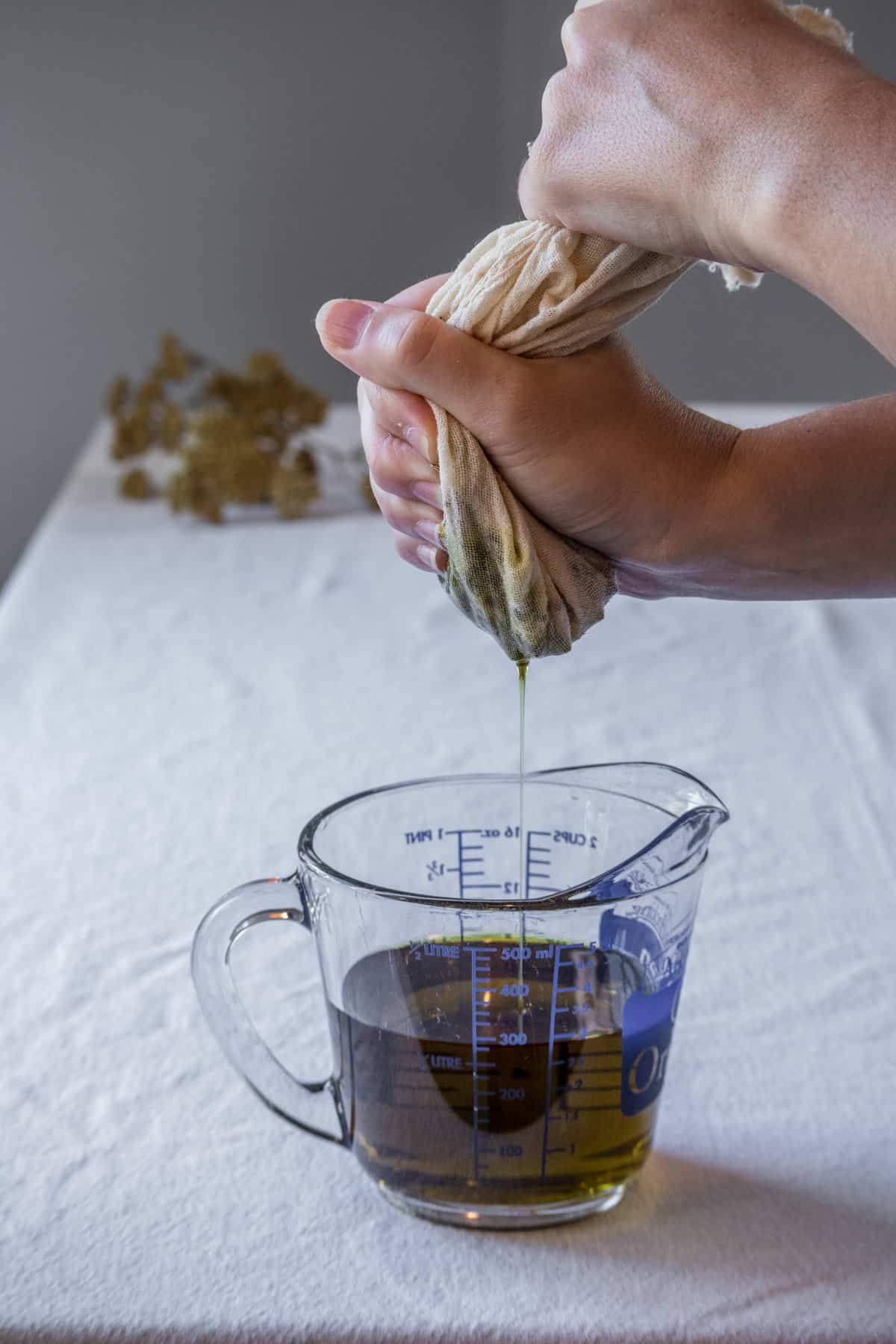 Homemade yarrow oil straining through a cheesecloth