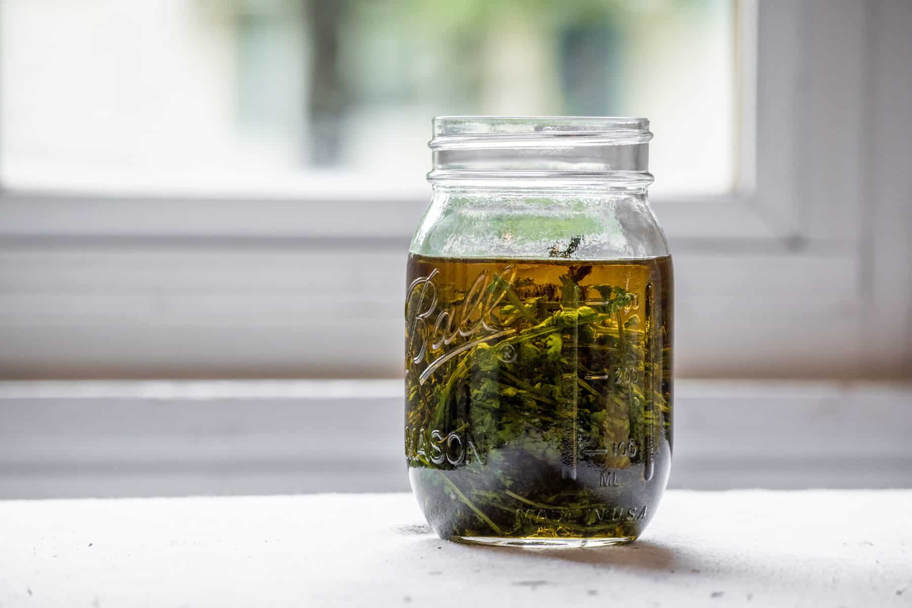 A jar of yarrow oil infusing near a window