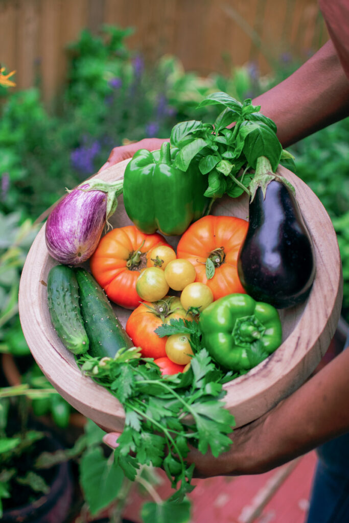 A bowl bad companion plants for rosemary: cucumbers, eggplants, peppers, tomatoes, basil, and cilantro