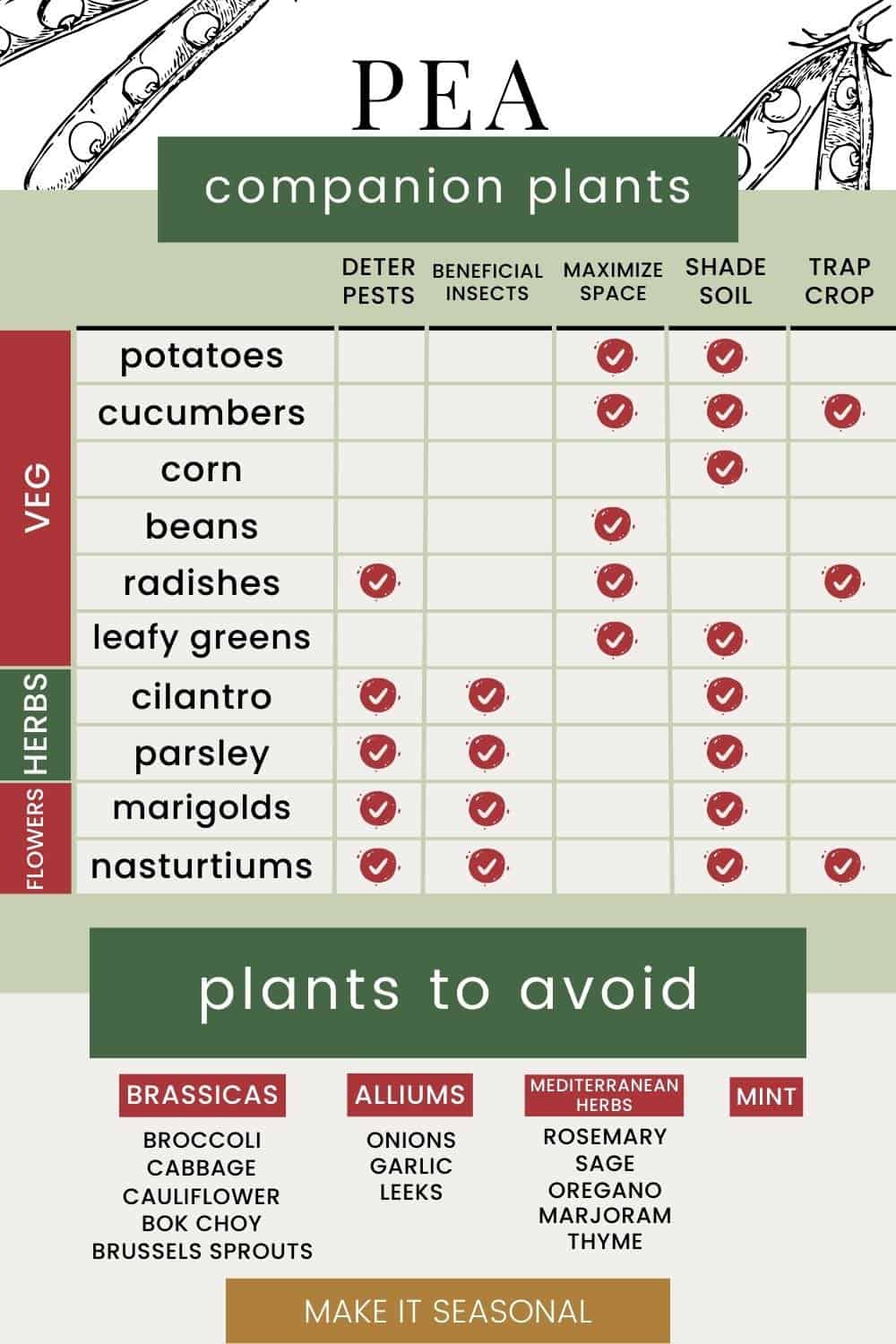 Pea companion planting chart with the best vegetables, herbs, and flowers to plant with peas and what plants to avoid