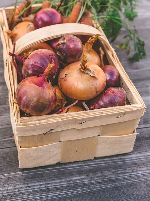A Complete Guide to Growing Onions