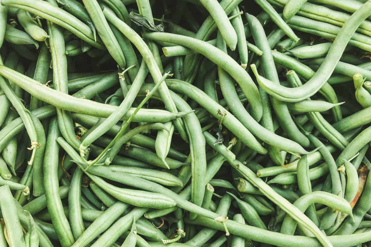 How to grow green beans