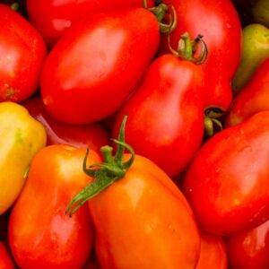 Bright red paste tomatoes for canning