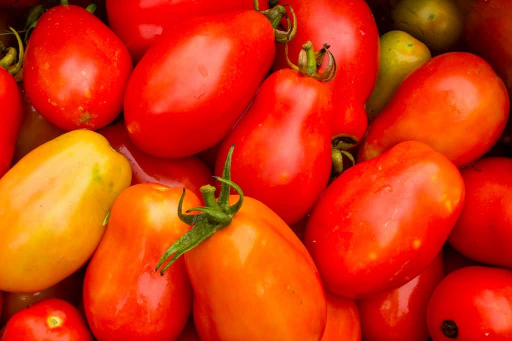 Roma tomatoes, a popular variety of paste tomato for canning